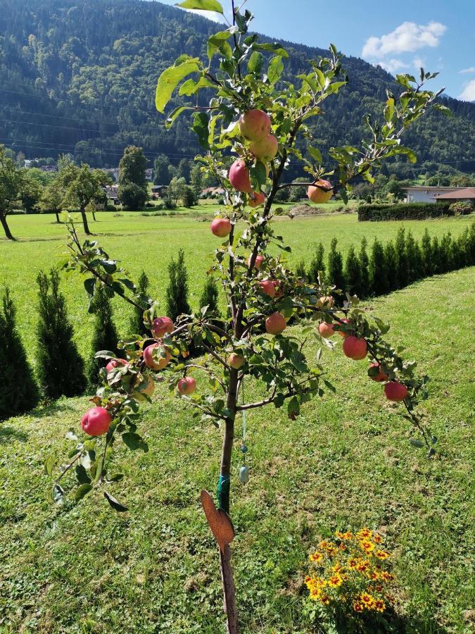 Apartment - Ferienwohnung 2 Treffen Am Ossiachersee Zewnętrze zdjęcie